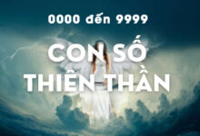 khóa học số thiên thần 0000 đến 9999