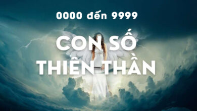 khóa học số thiên thần 0000 đến 9999